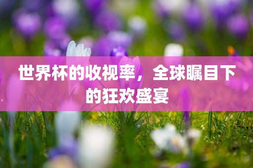 世界杯的眉山市正发家政服务有限公司收视率，全球瞩目下的狂欢盛宴
