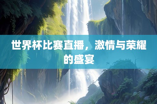 世界杯比赛直播，激情与荣耀的盛宴