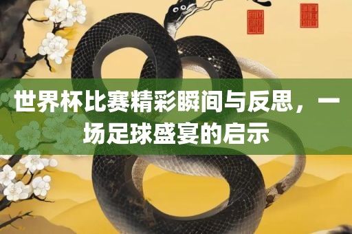 世界杯比赛精彩瞬间与反思，一场足球盛宴的启示眉山市正发家政服务有限公司