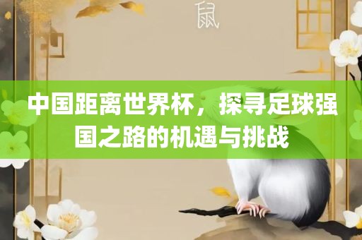 中国距离世界杯，探寻足球强国之路的机遇与挑战