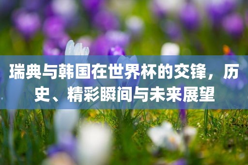 瑞典与韩国在世界杯的交锋，历史、精彩瞬间与未来展望