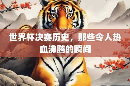 世界杯决赛历史，那些令人热血沸腾的瞬间