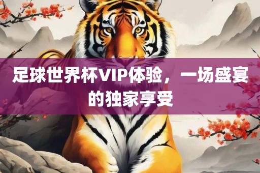 足球世界杯VIP体验，一场盛宴的独家享受