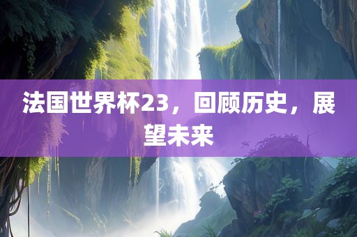 法国世界杯23，回顾历史，展望未来