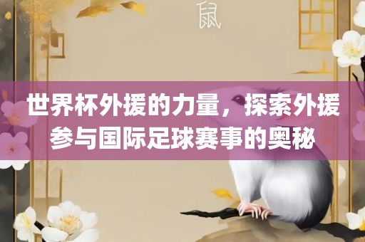 世界杯外援的力量，探索外援参与国际足球赛事的奥秘