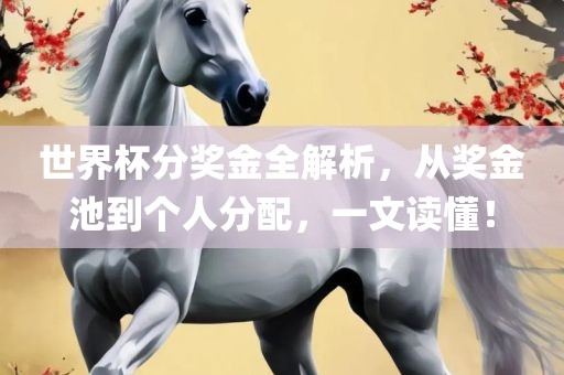 世界杯分奖金全解析，从奖金池到个人分配，一文读懂！