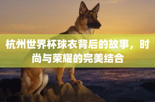 杭州世界杯球衣背后的故事，时尚与荣耀的完美结合