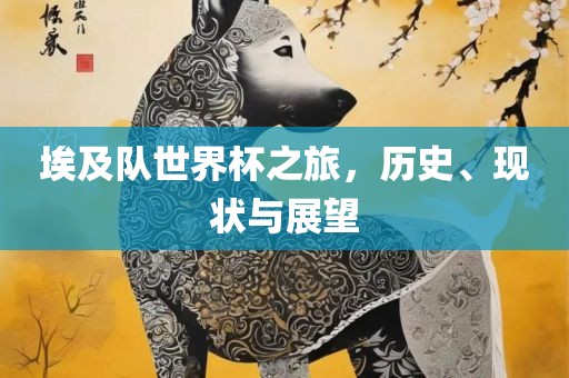 埃及队世界杯之旅，历史、现状与展望