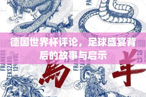 德国世界杯评论，足球盛宴背后的故事与启示