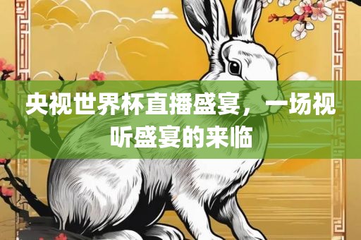 央视世界杯直播盛宴，一场视听盛宴的来临