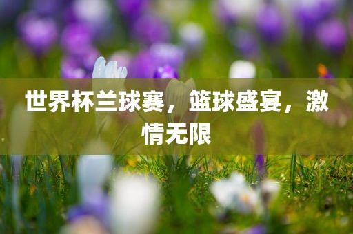 世界杯兰球赛，篮球盛宴，激情无限