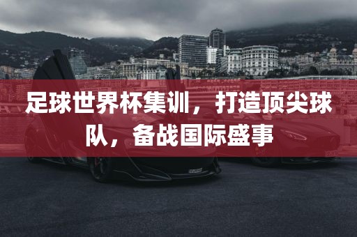 足球世界杯集训，打造顶尖球队，备战国际盛事