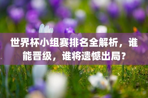 世界杯小组赛排名全解析，谁能晋级，谁将遗憾出局？