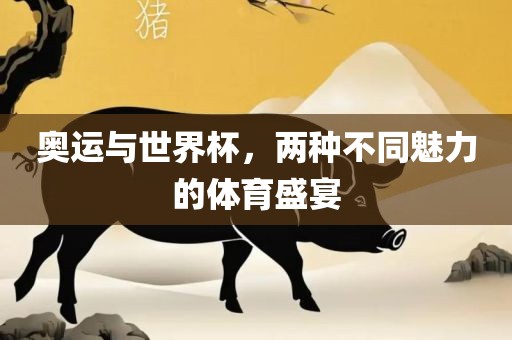 奥运与世界杯，两种不同魅力的体育盛宴