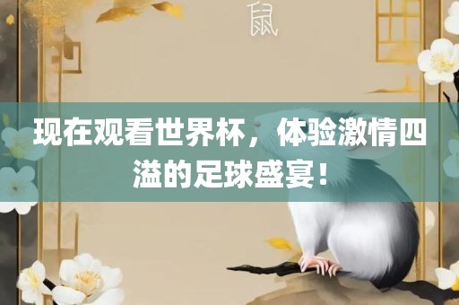 现在观看世界杯，体验激情四溢的足球盛宴！