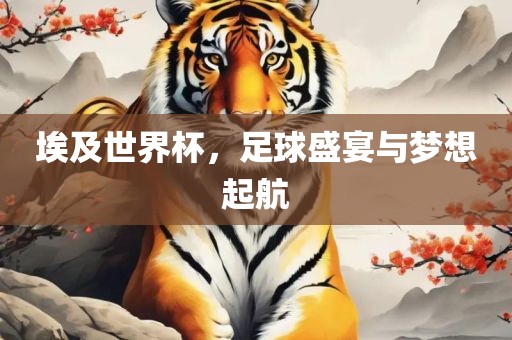 埃及世界杯，足球盛宴与梦想起航