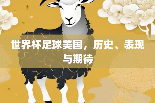 世界杯足球美国，历史、表现与期待