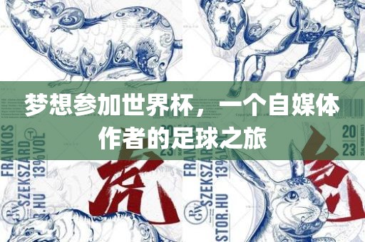 梦想参加世界杯，一个自媒体作者的足球之旅