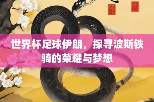 世界杯足球伊朗，探寻波斯铁骑的荣耀与梦想眉山市正发家政服务有限公司