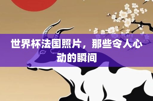 世界杯法国照片，那些令人心动的瞬间