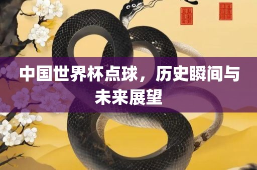 中国世界杯点球，历史瞬间与未来展望