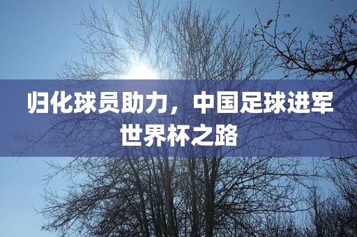 归化球员助力，中国足球进军世界杯之路