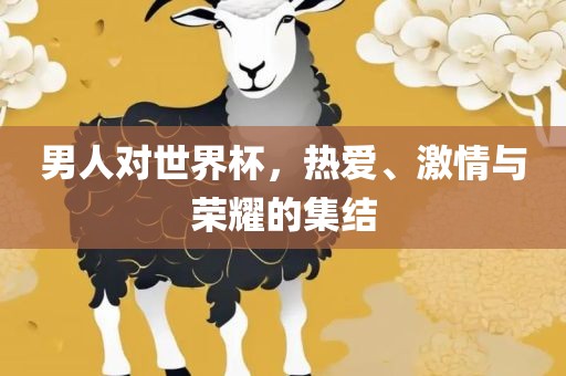 男人对世界杯，热爱、激情与荣耀的集结