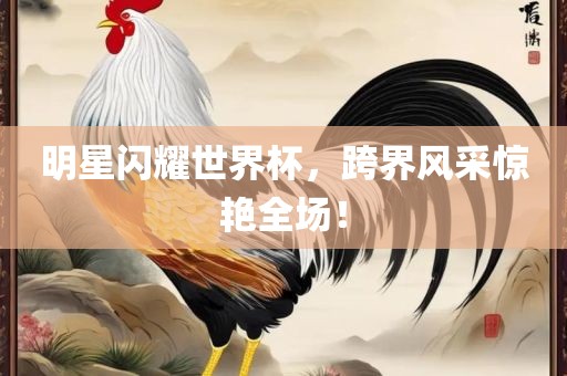 明星闪耀世界杯，跨界风采惊艳全场！
