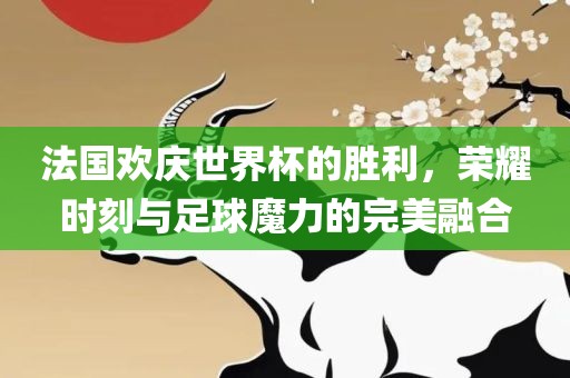 世界杯胜利