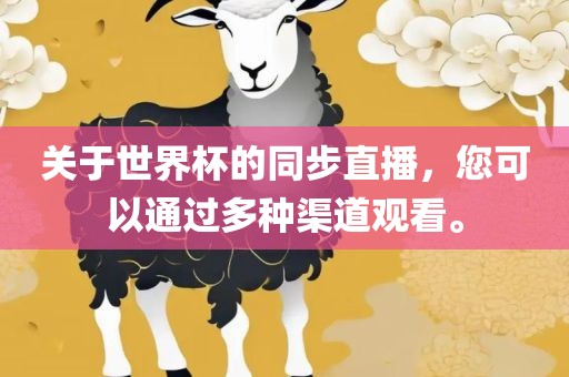 关于世界杯的同步直播，您可以通过多种渠道观看。