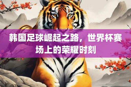 韩国足球崛起之路，世界杯赛场上的荣耀时刻