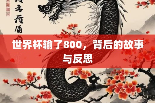 世界杯输了800，背后的故事与反思