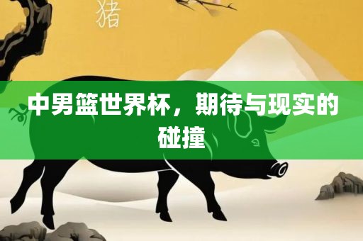 中男篮世界杯，期待与现实的碰撞