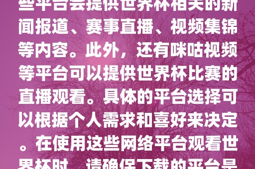 世界杯网络平台包括但不限于央视新闻、抖音、快手等。这些平台会提供世界杯相关的新闻报道、赛事直播、视频集锦等内容。此外，还有咪咕视频等平台可以提供世界杯比赛的直播观看。具体的平台选择可以根据个人需求和喜好来决定。在使用这些网络平台观看世界杯时，请确保下载的平台是官方正版，以保证良好的观赛体验。