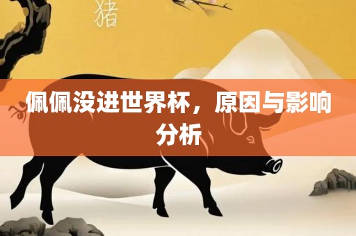 佩佩没进世界杯，原因与影响分析