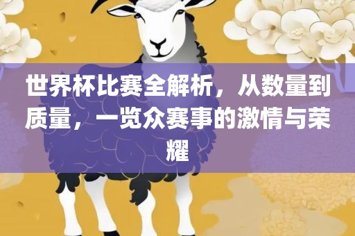 世界杯比赛全解析，从数量到质量，一览众赛事的激情与荣耀