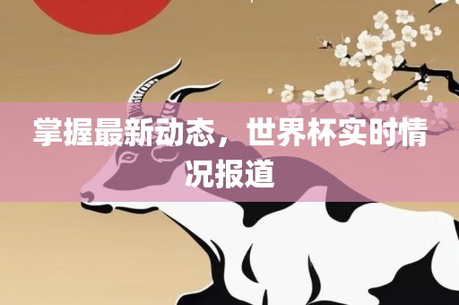 掌握最新动态，世界杯实时情况报道