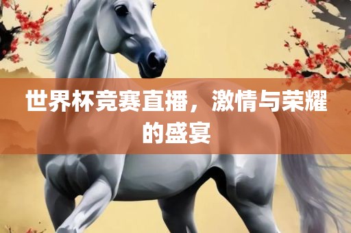 世界杯竞赛直播，激情与荣耀的盛宴