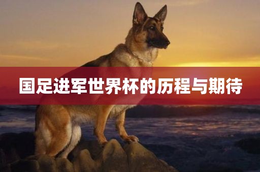 国足进军世界杯的历程与期待