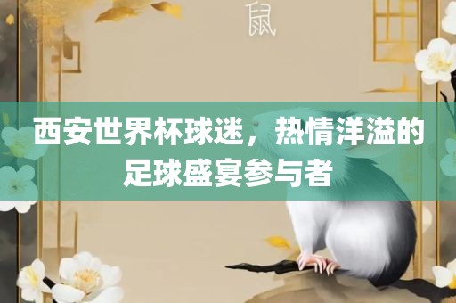 西安世界杯球迷，热情洋溢的足球盛宴参与者