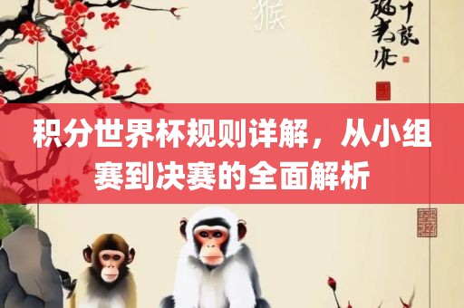 积分世界杯规则详解，从小组赛到决赛的全面解析