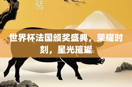 世界杯法国颁奖盛典，荣耀时刻，星光璀璨