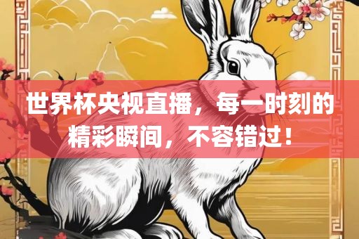 世界杯央视直播，每一时刻的精彩瞬间，不容错过！