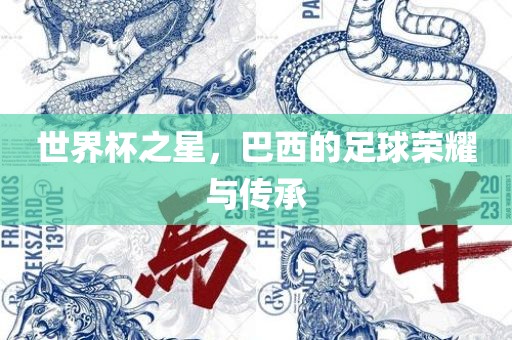 世界杯之星，巴西的足球荣耀与传承