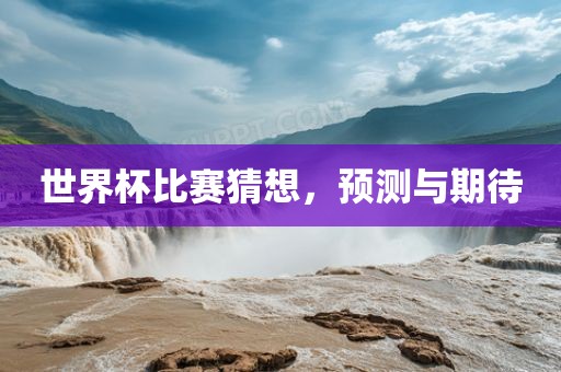 世界杯比赛猜想，预测与期待
