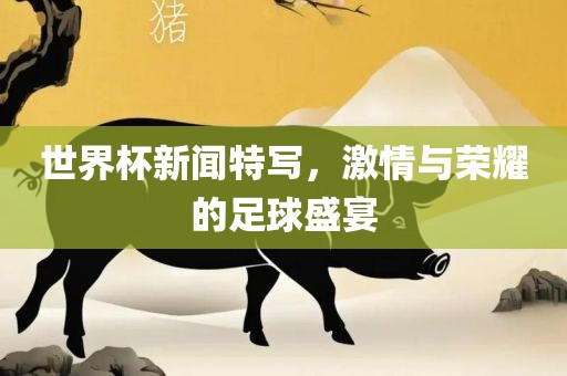 世界杯新闻特写，激情与荣耀的足球盛宴