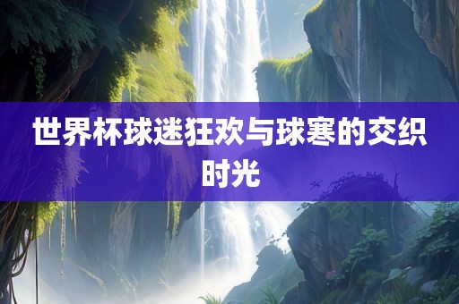 世界杯球迷狂欢与球寒的交织时光