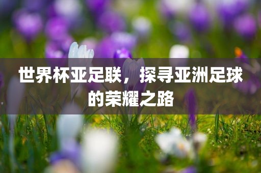 世界杯亚足联，探寻亚洲足球的荣耀之路