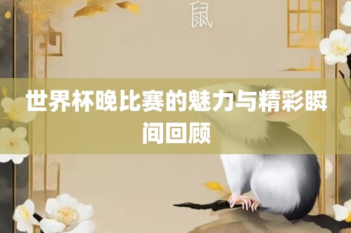 世界杯晚比赛的魅力与精彩瞬间回顾