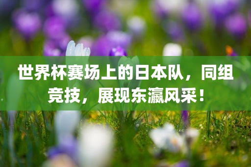 世界杯赛场上的日本队，同组竞技，展现东瀛风采！